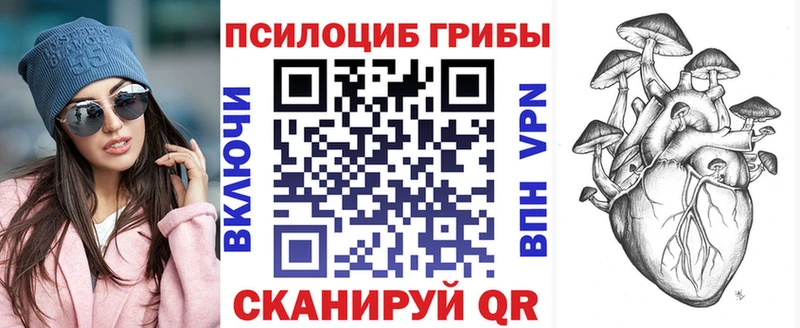 Псилоцибиновые грибы Cubensis  наркотики  Заречный 